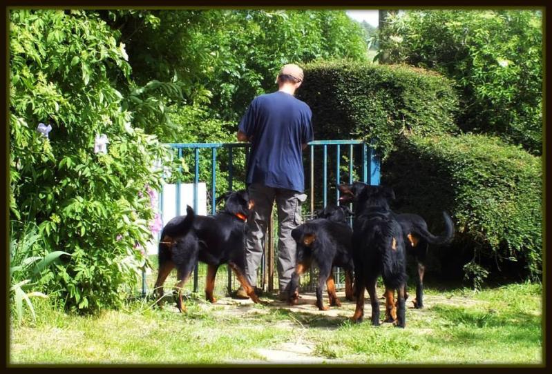 3251551256 2 17 hg9u4902