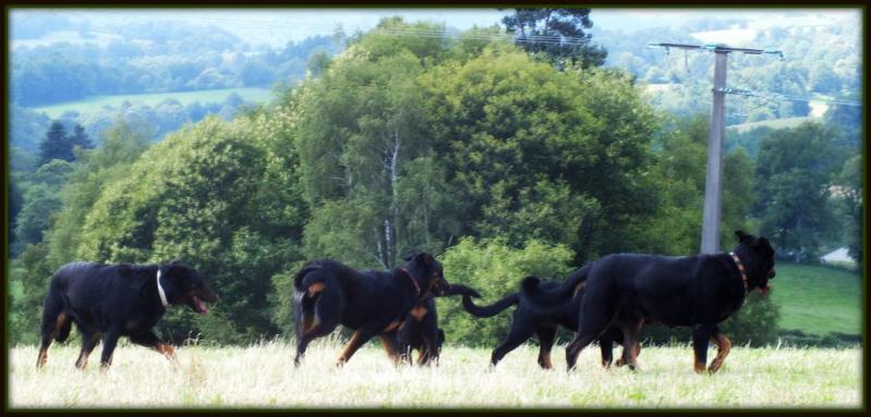 3254073768 2 11 slbuvz6h